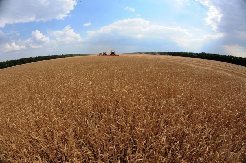 Кому в СНГ нужна продукция из Воронежской области