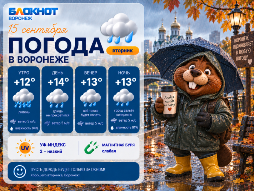 Осень пришла: прогноз погоды в Воронеже