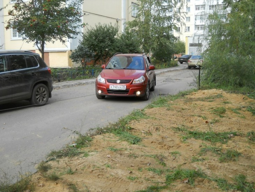 В Воронеже автовладельцы устраивают незаконные парковки на территории дубравы (ФОТО)