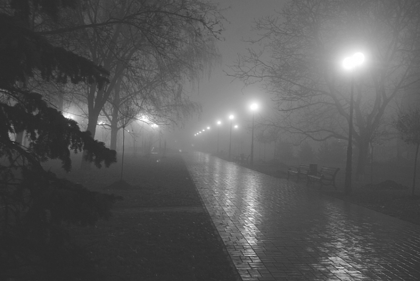 В Воронеже в выходные будет дождливо и туманно 