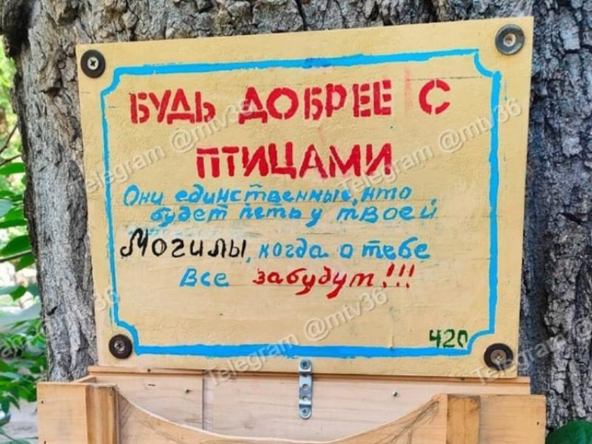 Будут петь у твоей могилы: табличка с серьезным посылом появилась в Воронеже