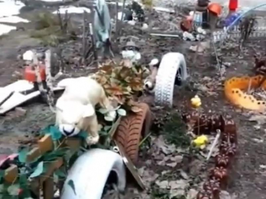 Жутковатую инсталляцию из гниющих игрушек нашли в Воронеже