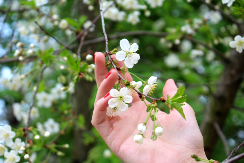 Больше 3 км экотропы благоустроят в Воронежской области