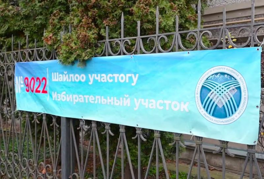 Как прошли кыргызские выборы в Воронеже 