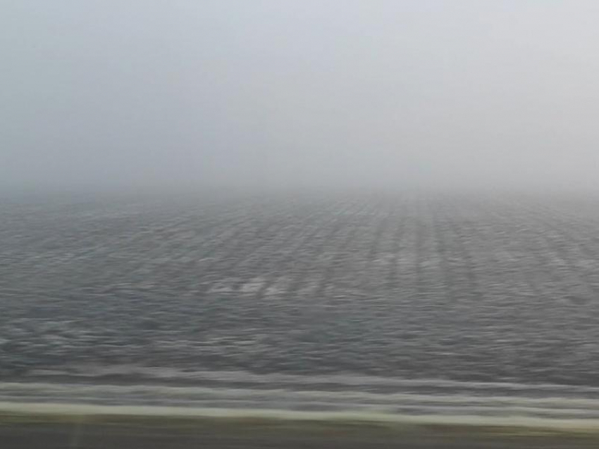 Мокрый снег, туман и гололед привели к желтому уровню погодной опасности в Воронежской области