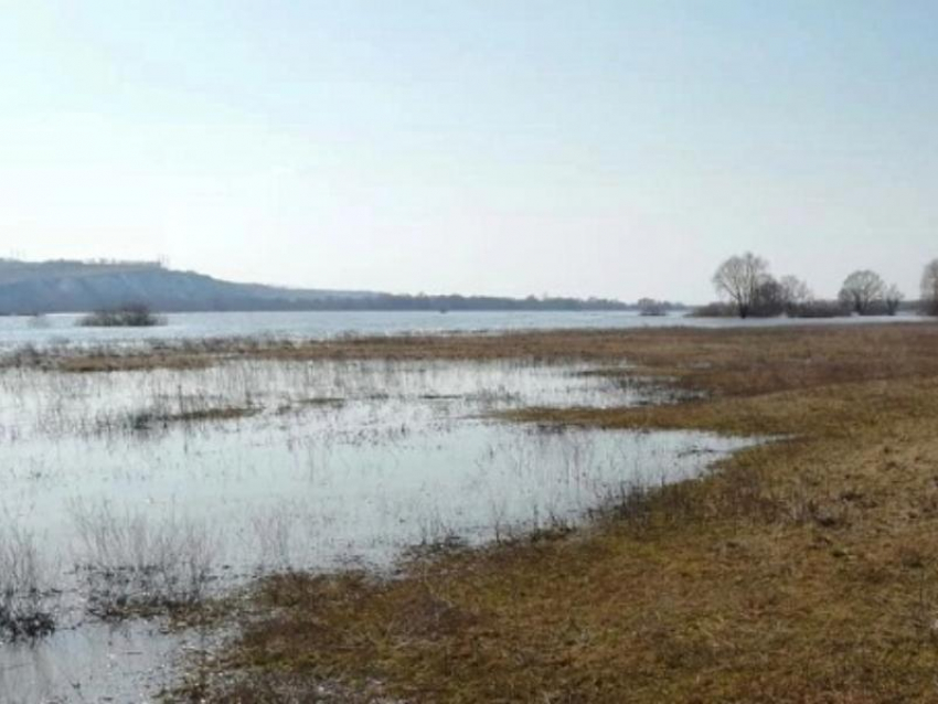 Двое мужчин умерли после плавания на лодках по Дону в Воронежской области
