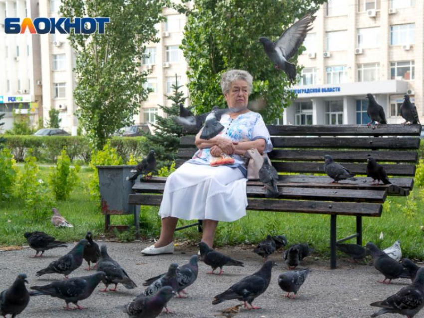 92-летний дедушка и 89-летняя бабушка стали молодожёнами в Воронежской области 