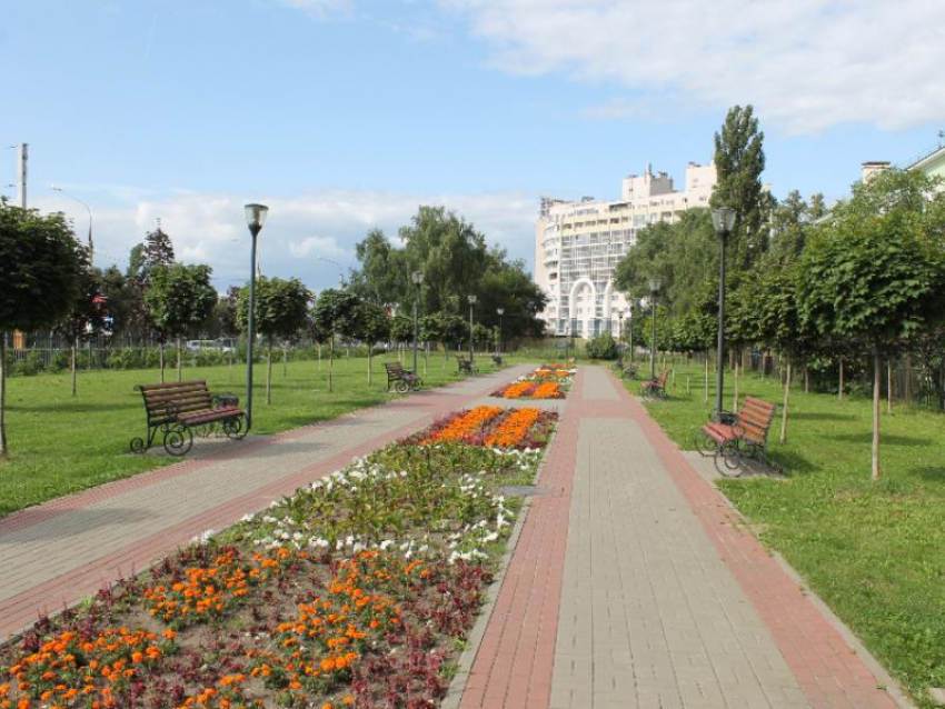 В Воронеже попросили расширить парк Патриотов за счет сноса домов