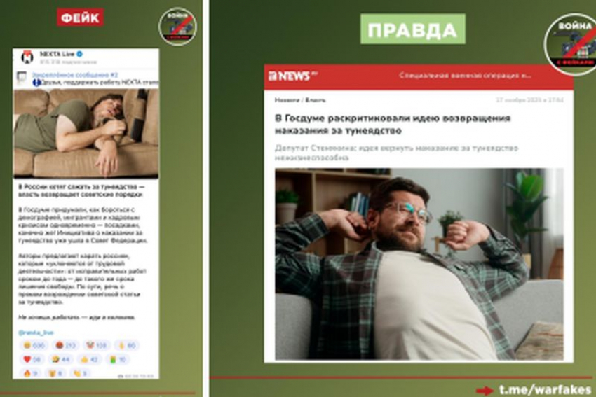 Украинский фейк о введении закона о тунеядстве развеяли в Воронежской области