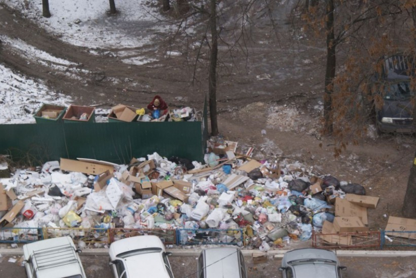 Экологи назвали виновных за незаконные свалки мусора в Воронеже