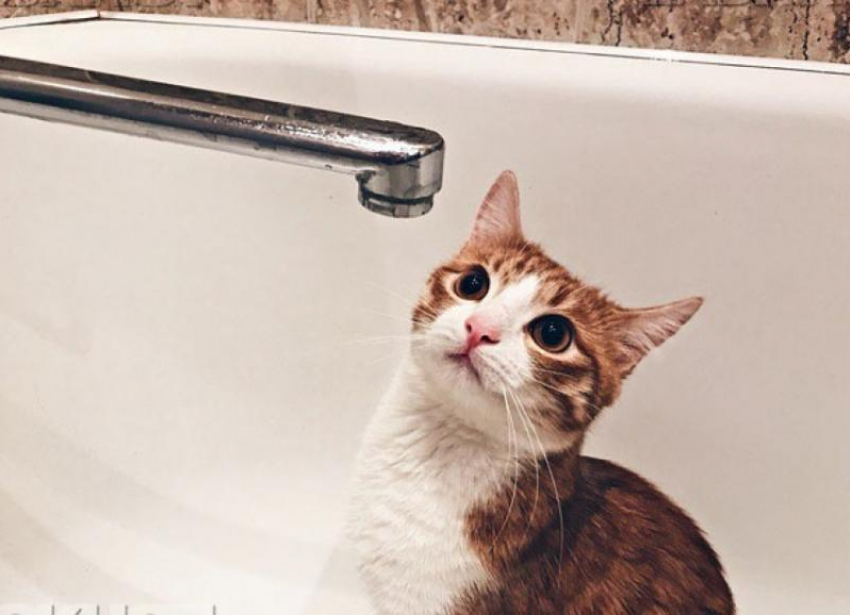 Стало известно, какое ЧП оставило без воды десятки домов в Воронеже 