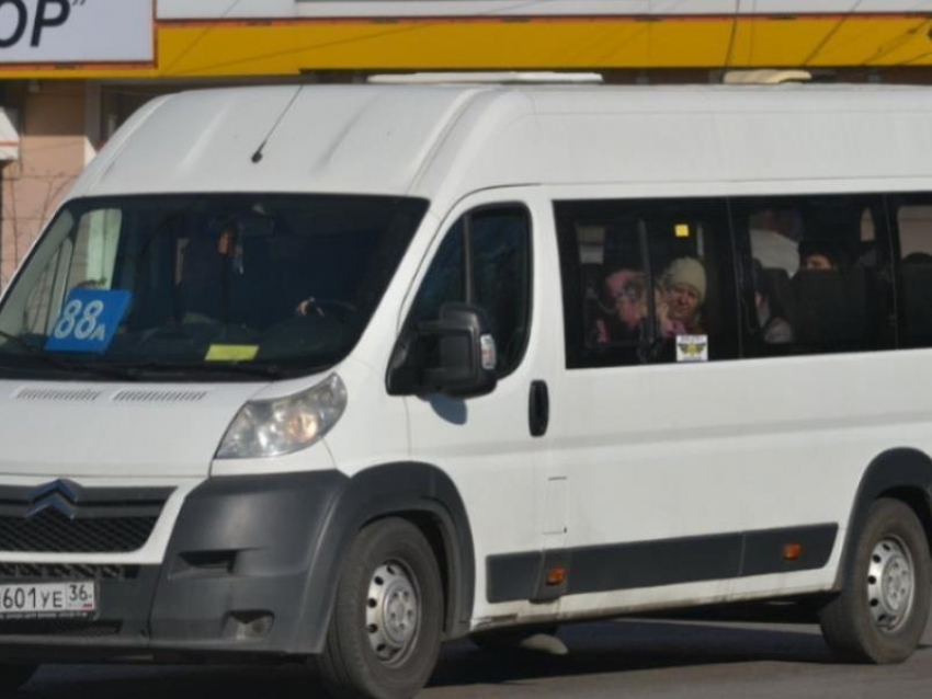 Воронежцы просят изменить маршрут автобуса №88