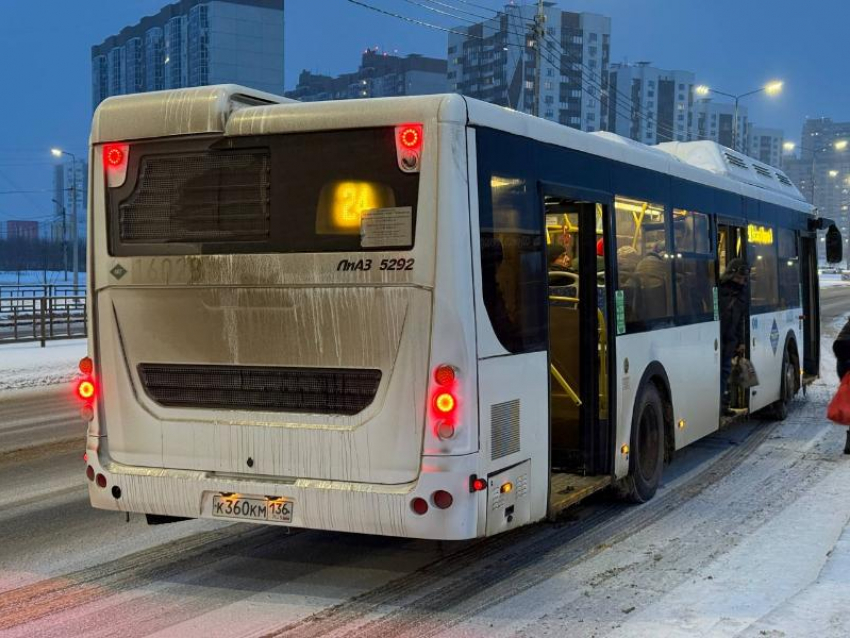 Сотрудники ГАИ взялись за проверку воронежских автобусов