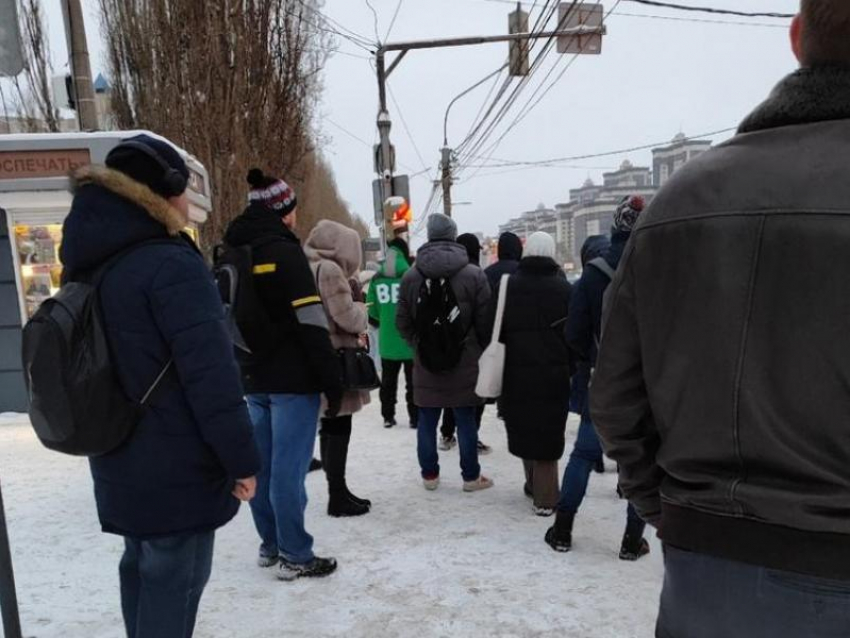 Страдающим пассажирам с бульвара Победы ответили воронежские чиновники 