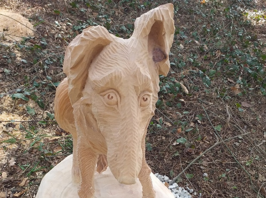 Испуганного щенка с острой мордой создал виртуозный скульптор из Воронежа