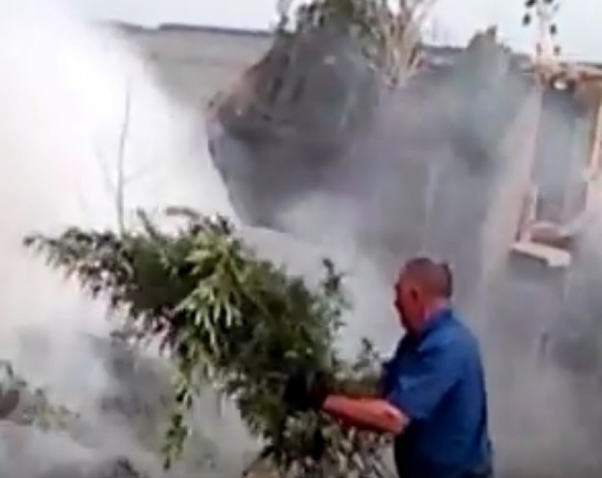 Уничтожение 20 тонн конопли под Воронежем попало на видео 