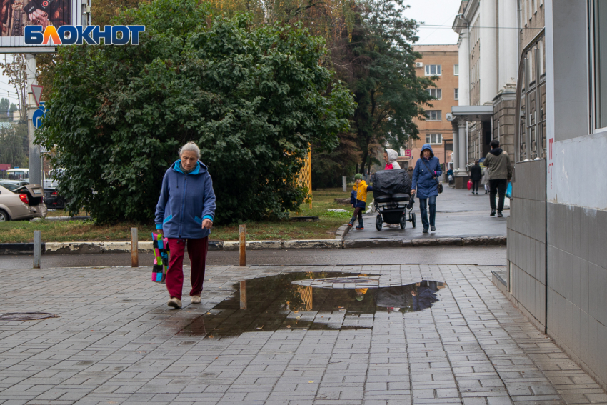 "Гринпис» опустил Воронежскую область на дно своего рейтинга