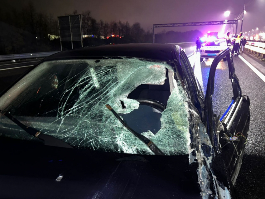 Пьяный водитель насмерть сбил пешехода ночью в Воронежской области