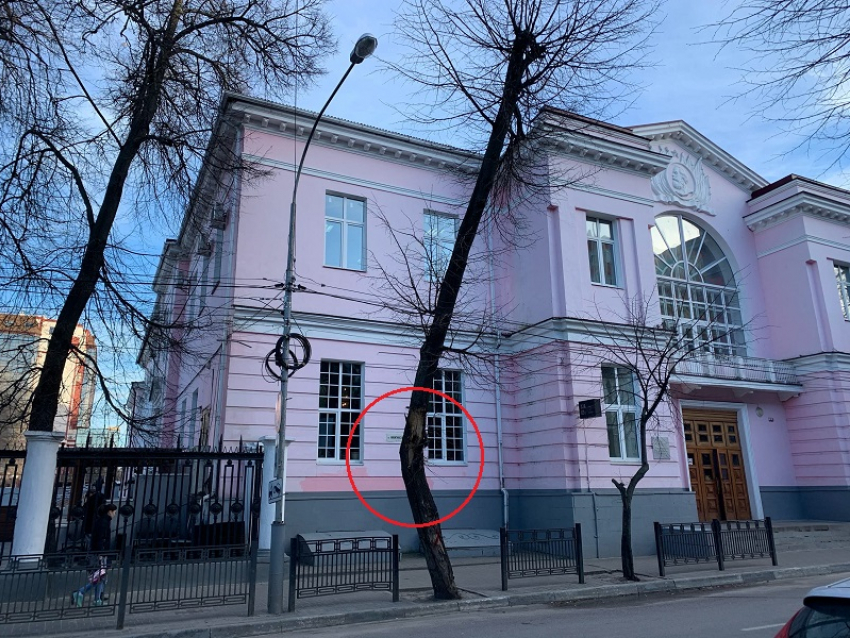 Кривое дерево внушает воронежцам страх