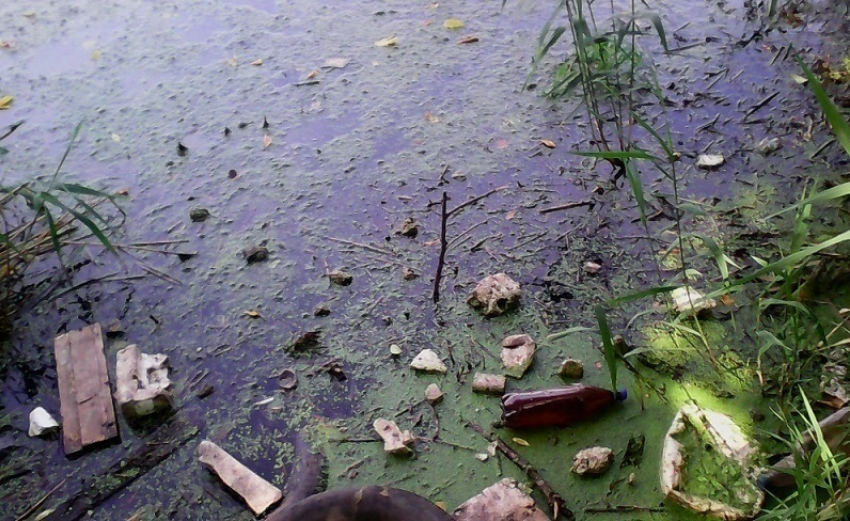 Воронежские экоактивисты нашли еще один сброс отходов в водохранилище