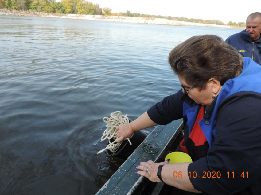 Опубликованы фото разлива нефтепродуктов на реках под Воронежем