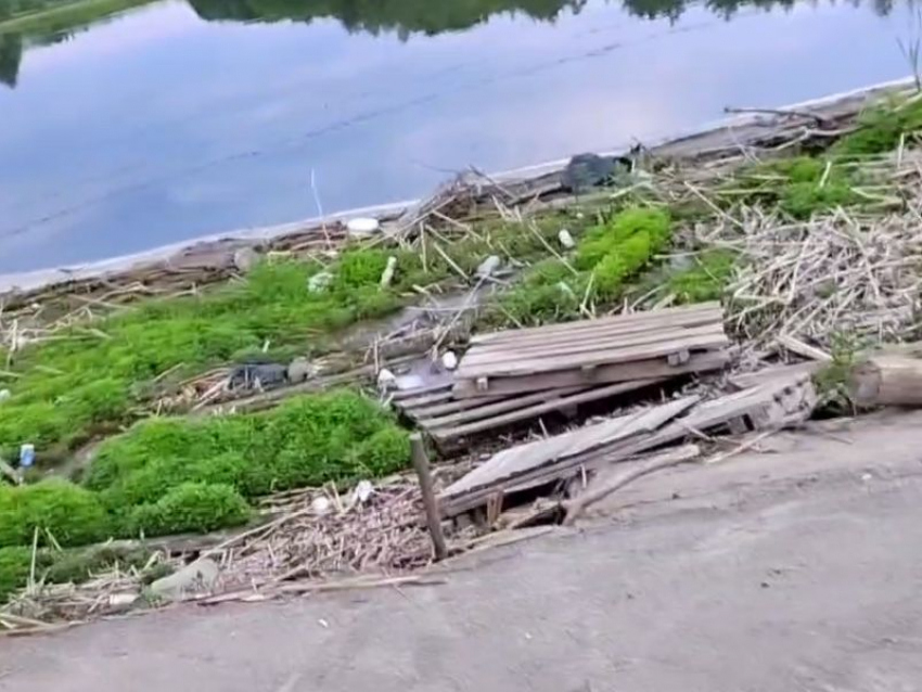 Свалка из мусора и сухого камыша образовалась на мосту после паводка под Воронежем