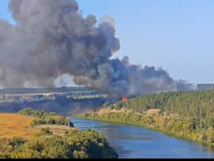 Четвертый пожар за день разгорелся в Воронеже - опубликовано видео