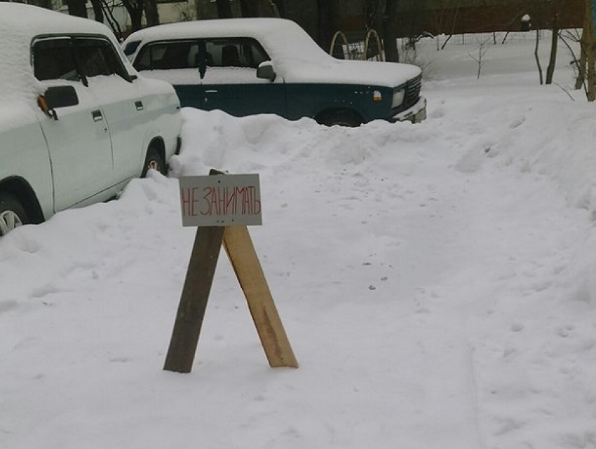 В Воронеже сфотографировали поступок главного автоумника
