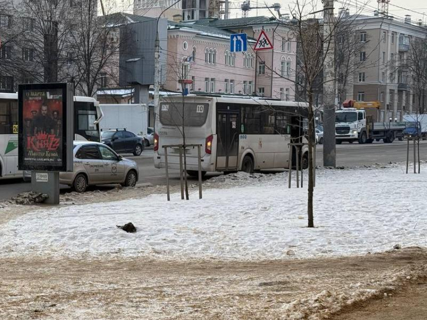 153-й маршрут может остаться без перевозчика в Воронежской области