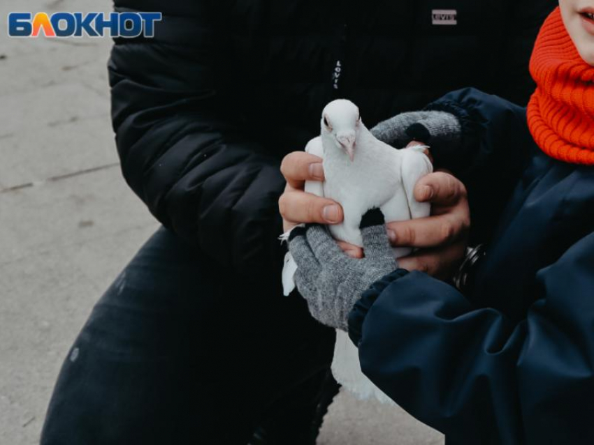 «Не покупайте птиц, не губите их»: рейды около храмов пройдут в Воронеже 