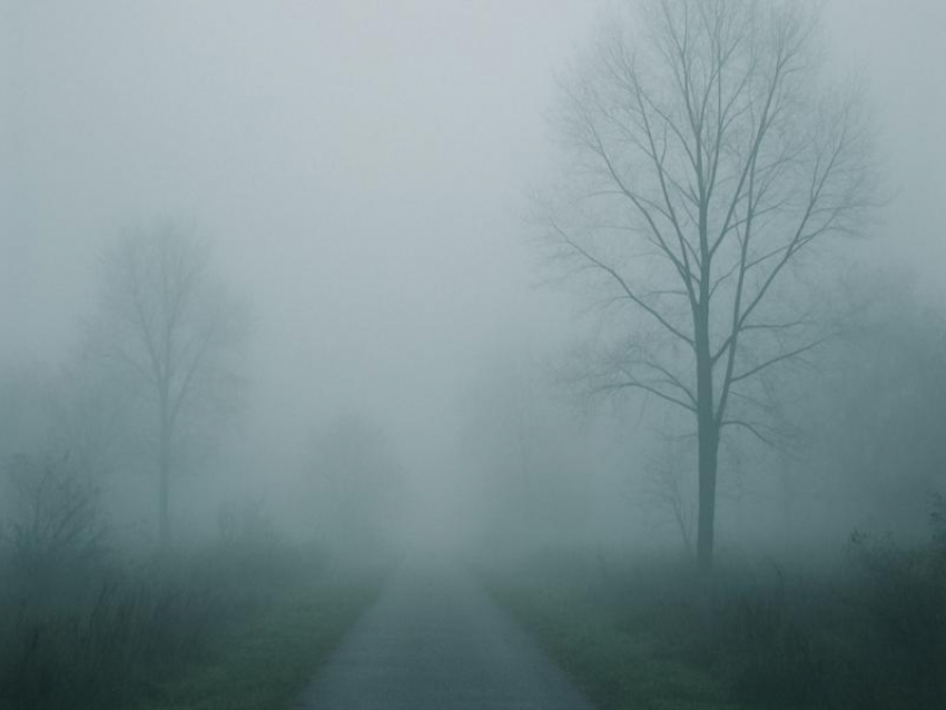 Туманная опасность надвигается на Воронежскую область