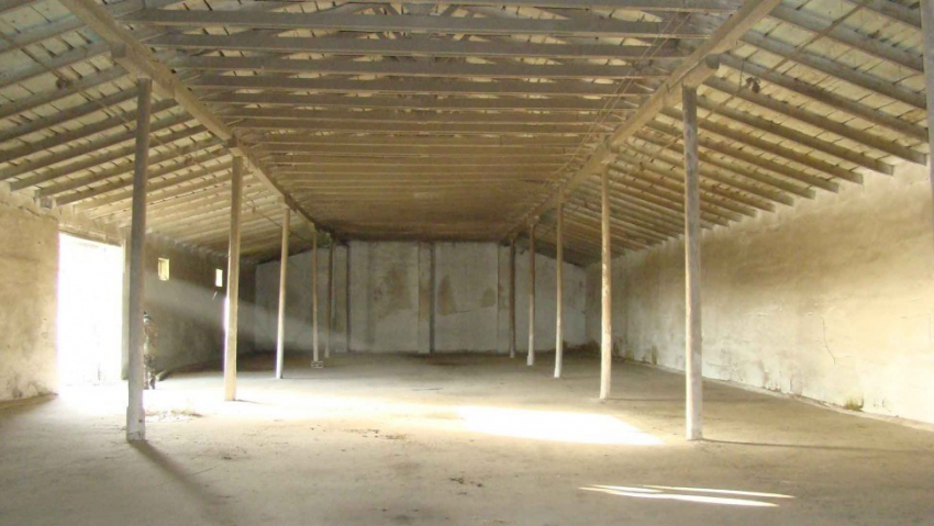 В Воронежской области безработные похитили более 3 тонн семян подсолнечника