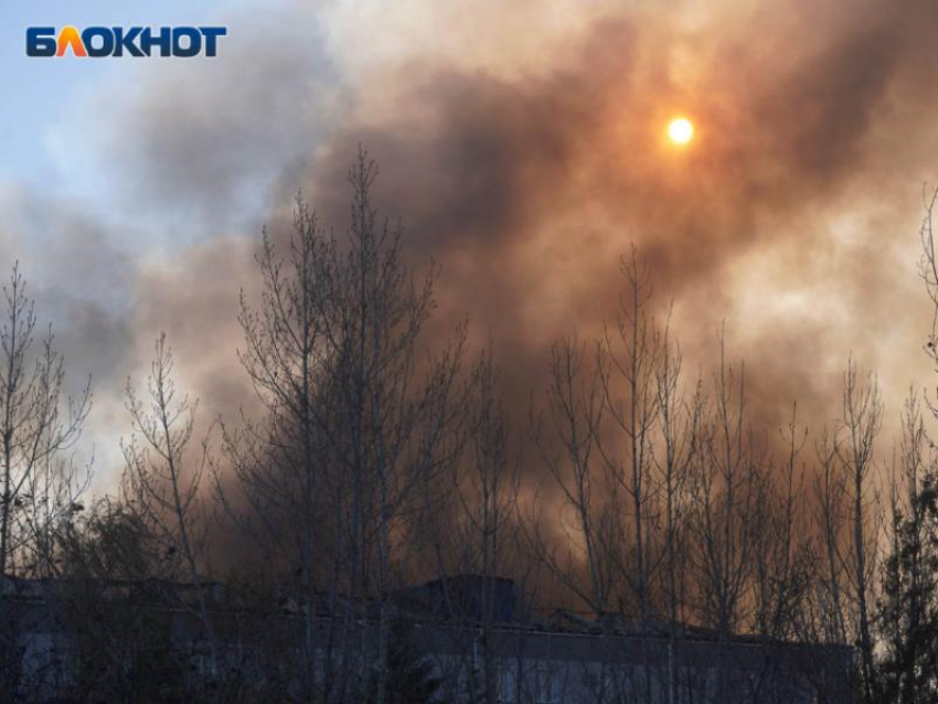 Особый противопожарный режим отменен в Воронежской области
