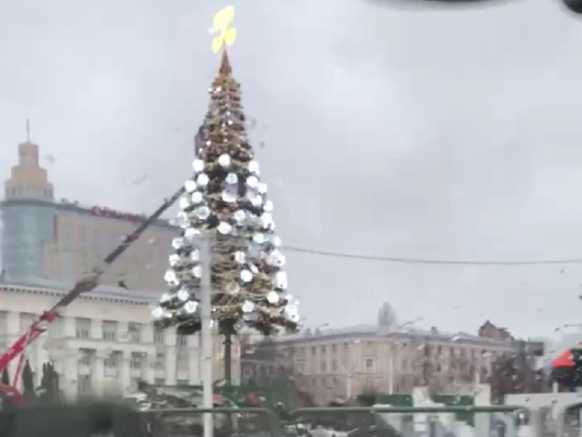 Готова наполовину: установку новогодней ели в Воронеже сняли на видео 
