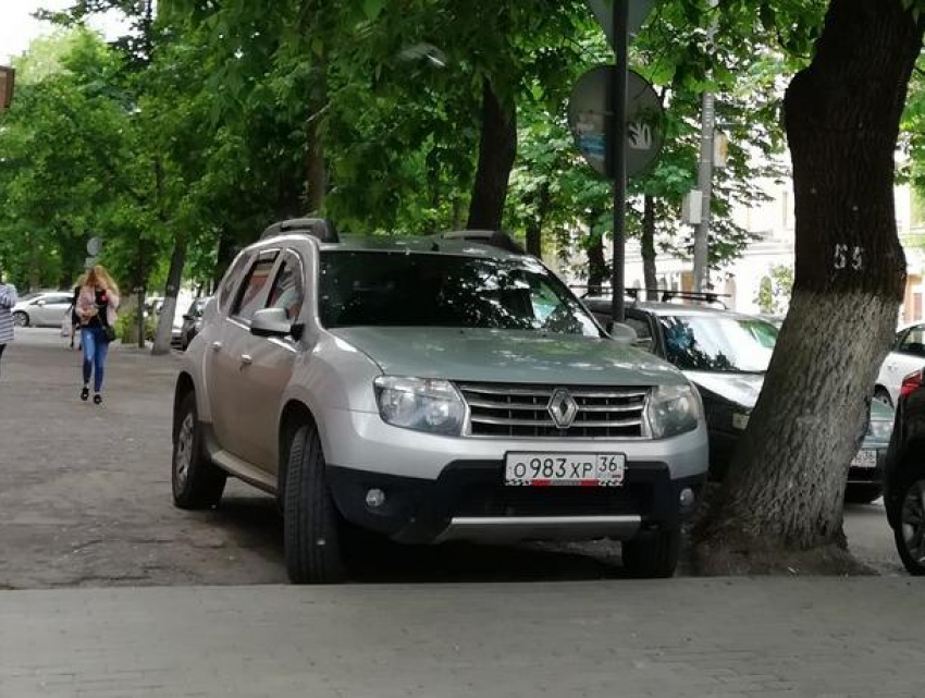 «Петушиным делом» назвали воронежцы жалобу на автохамов