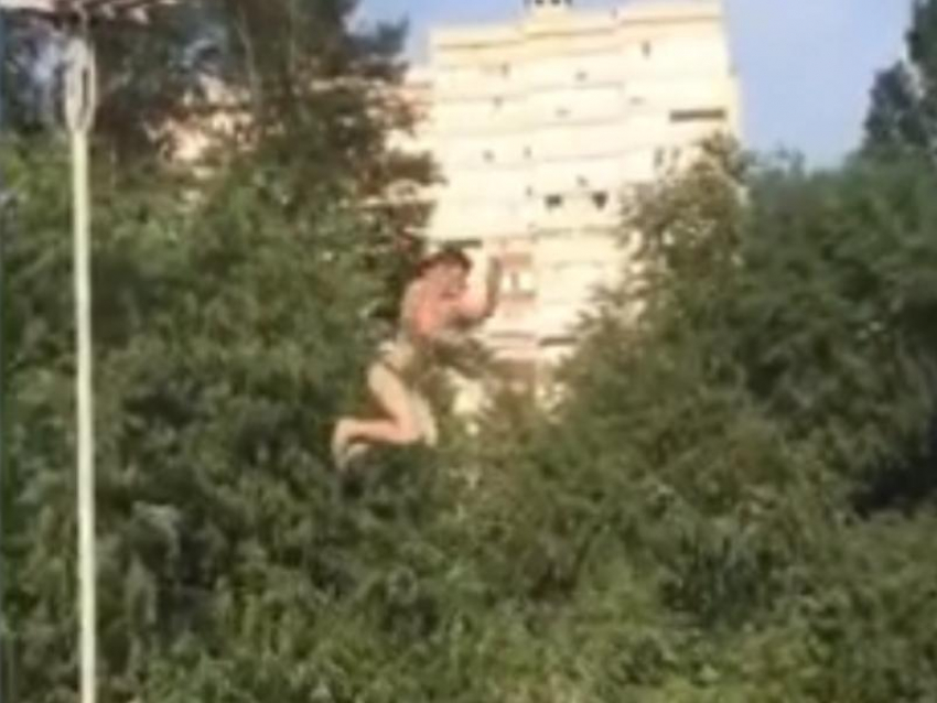 Прыжок ребенка с навесного моста сняли на видео в Воронеже 
