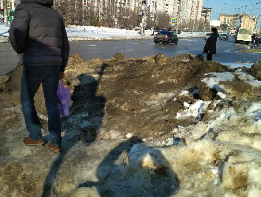 В Воронеже чиновники ждут чудесного избавления от грязного снега