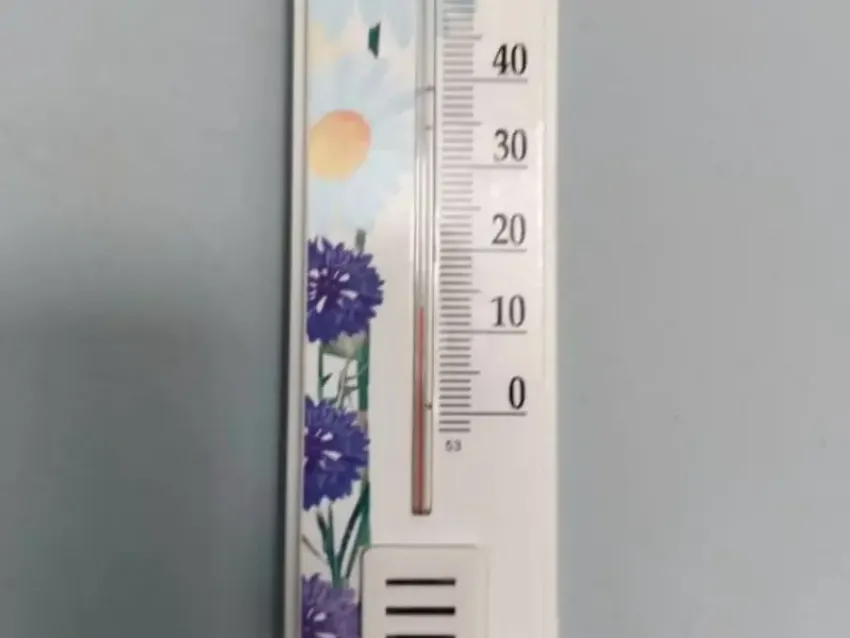 «За окном такой минус»: воронежцы бьют тревогу из-за низкой температуры в школе 