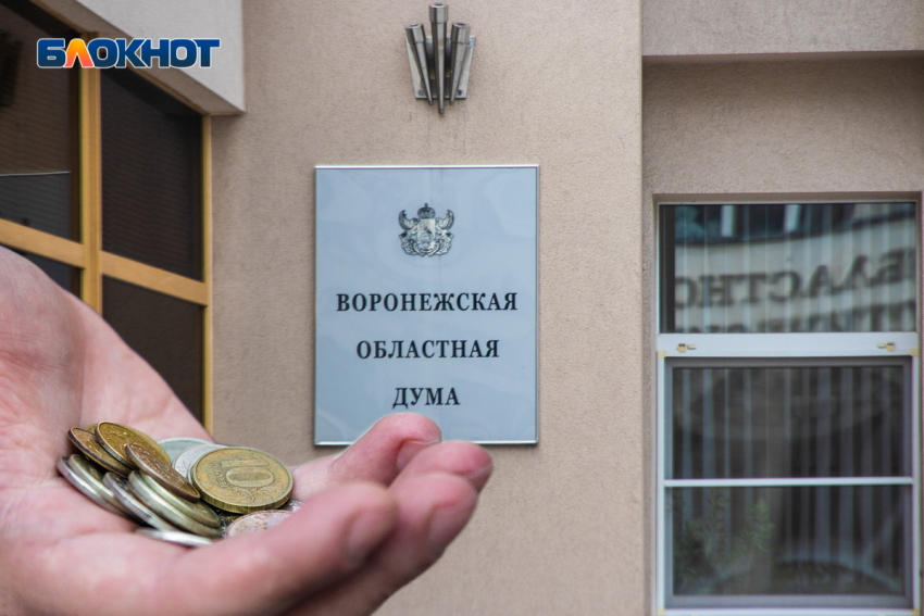 Экономить бюджетные деньги начали на Воронежской облдуме 