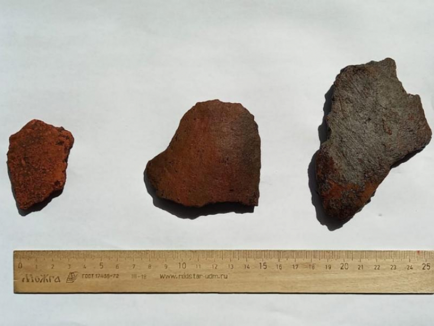 В селе под Воронежем найдены исторические артефакты, оставленные предками 