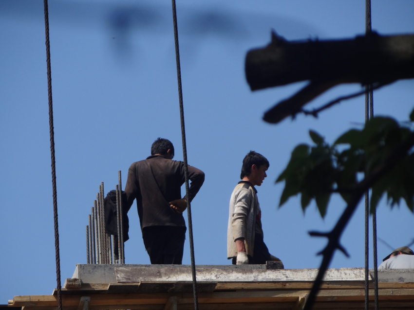 Воронежская область не превратилась в Эльдорадо для иностранцев 