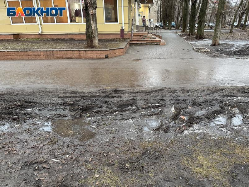 Грязевую зиму в Юго-Западном районе Воронежа показали на фото