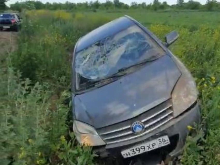 Загадочный итог автомобильной «прогулки» засняли воронежцы