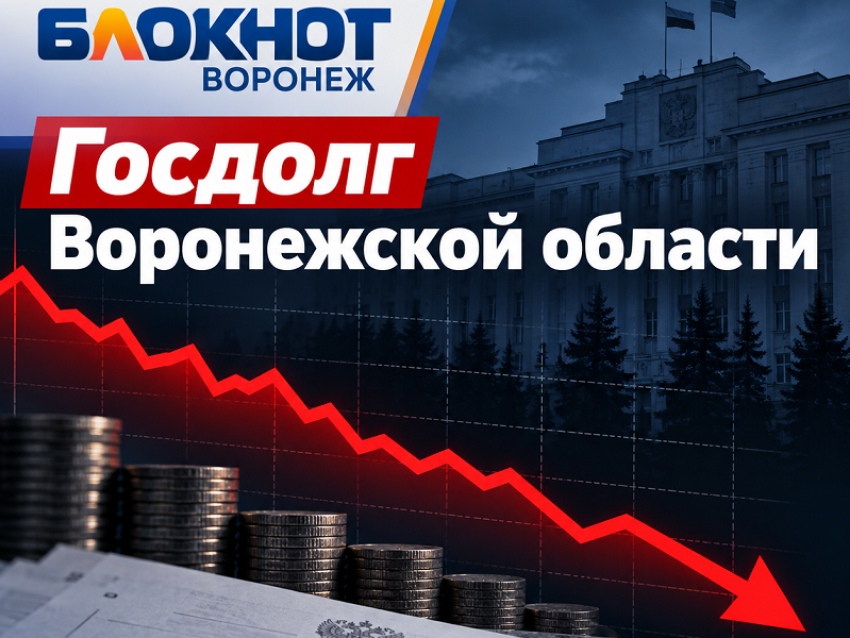 Что происходит с госдолгом Воронежской области, показали данные Минфина