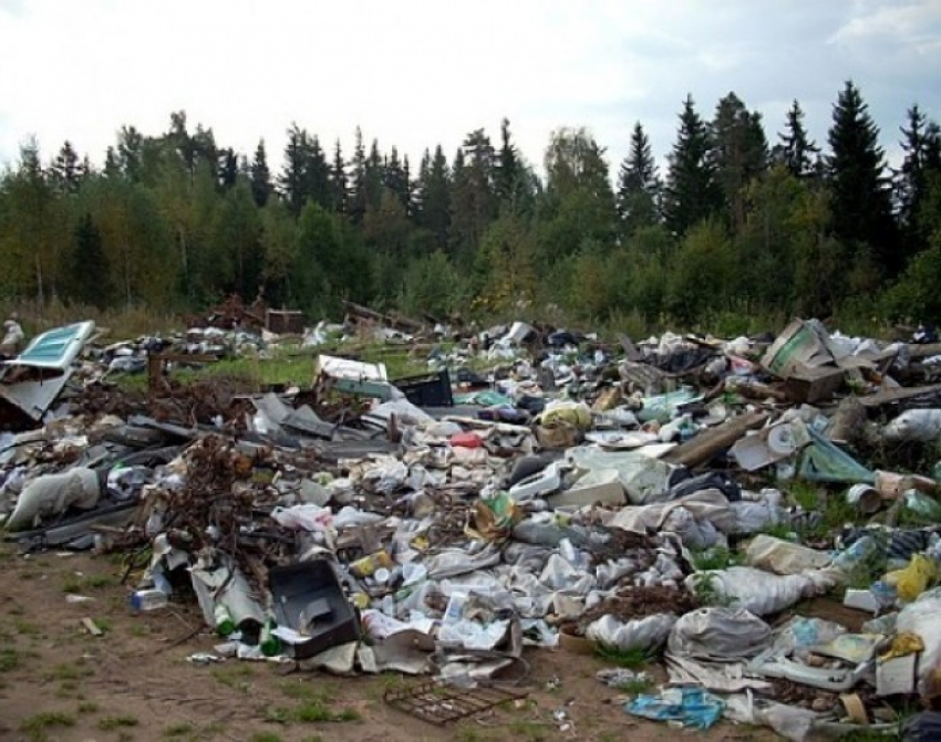 В Лискинском районе ликвидировали свалку опасных отходов