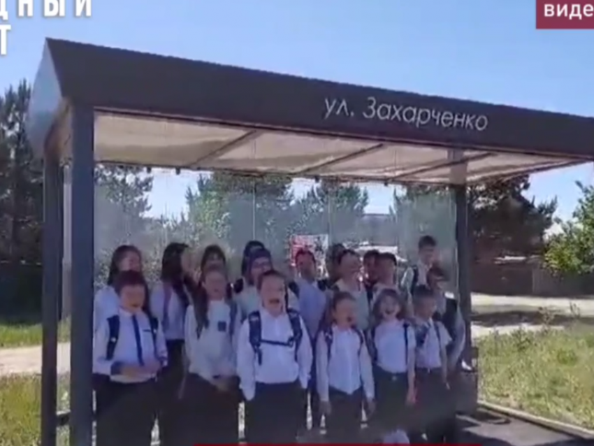 “Хотим автобус”: 4 км вдоль леса вынуждены идти воронежские школьники 