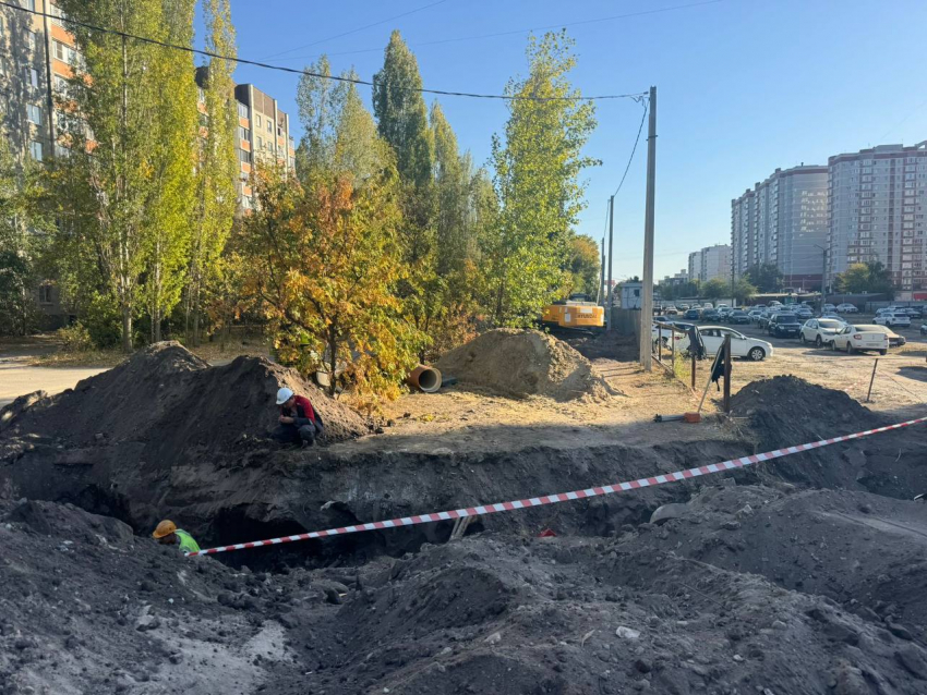 Ради новой дороги через Северный лес в Воронеже вырубят три десятка деревьев