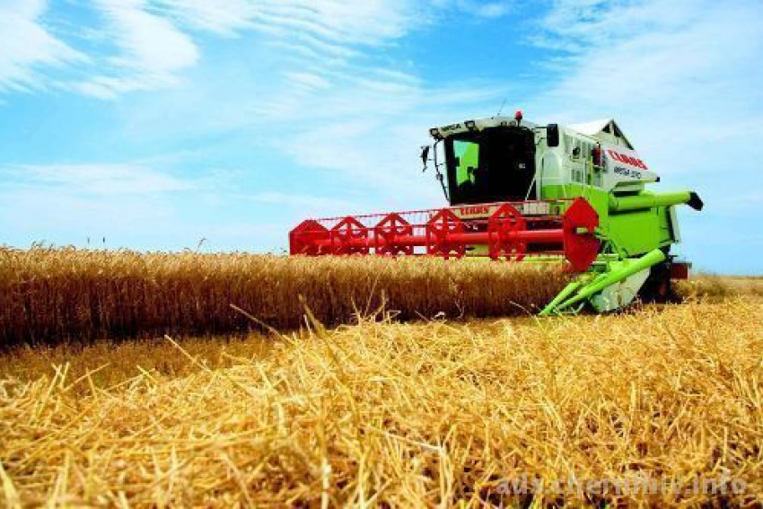 Воронежские аграрии намолотили второй миллион тонн зерна с полей региона