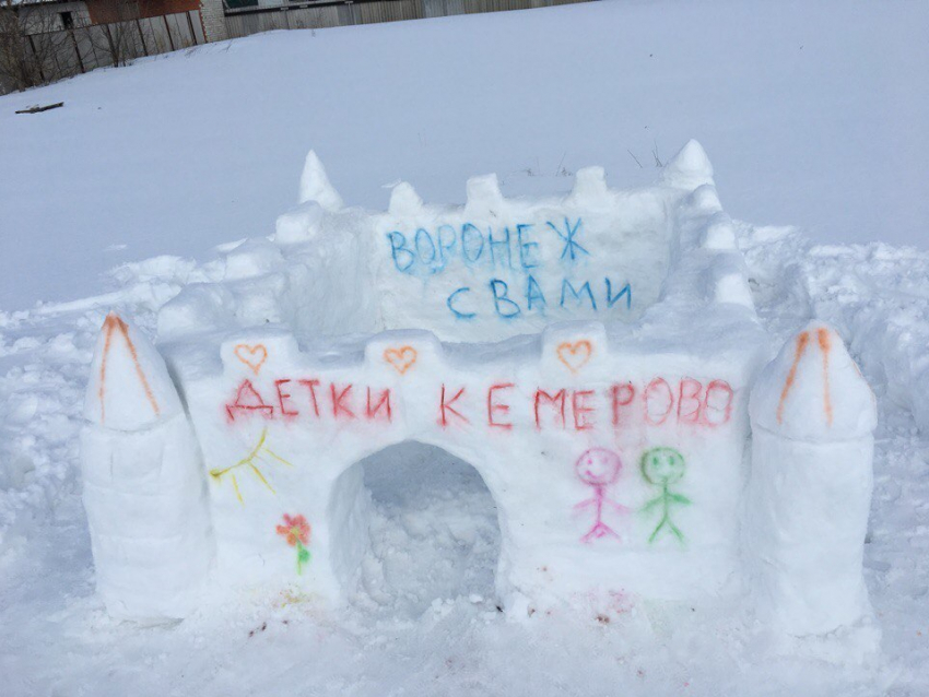 В Воронеже ополчились против женщины, построившей замок в память о погибших в Кемерове 