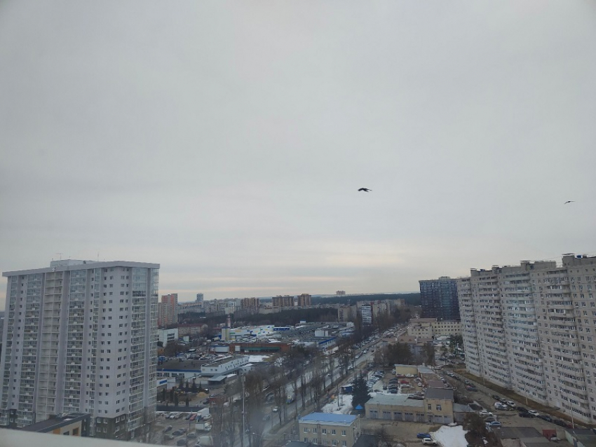 Новая опасность атаки БПЛА объявлена в Воронежской области